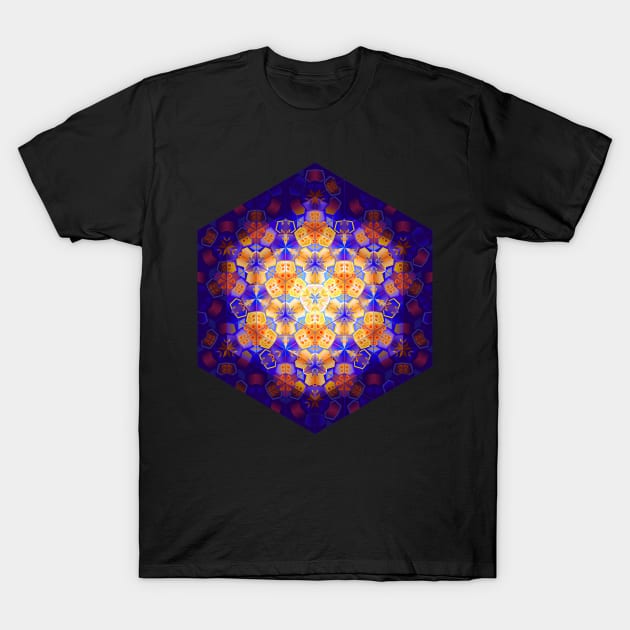 Concentric kaleidoscope pattern T-Shirt by Artist Natalja Cernecka